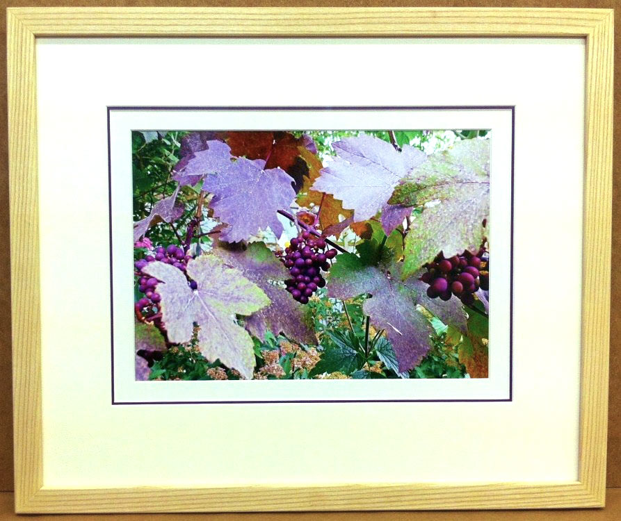bespoke picture framing nature leaves